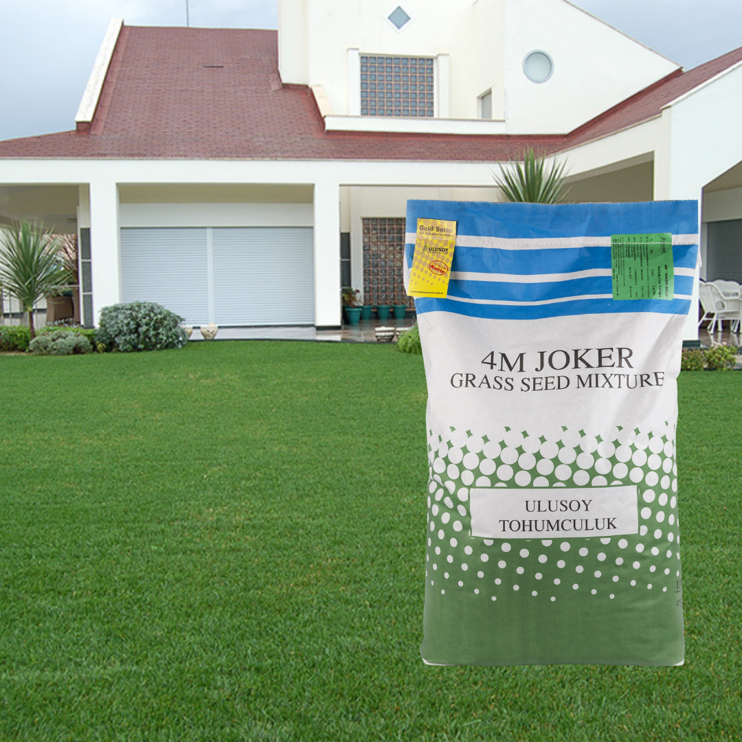 4M Joker Gold Çim Tohumu Karışımı